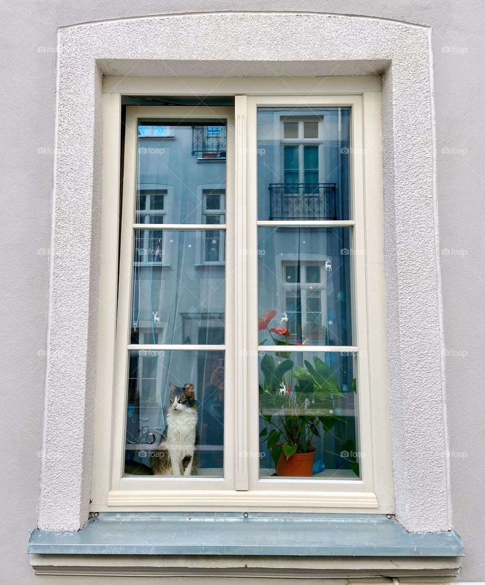 A reminder that we’re all waiting for something or someone to bring warmth to our world