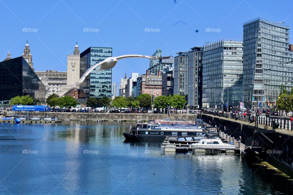 Liverpool dock