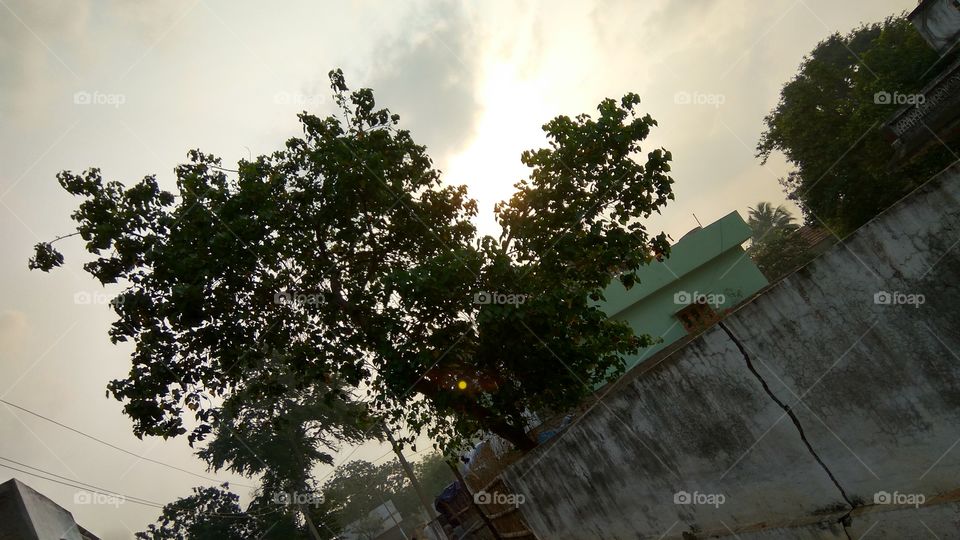 lovely sun 
they're give power sun rise  power of people