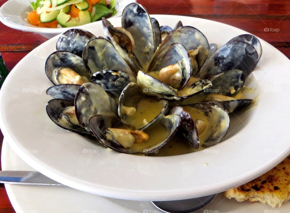 Mussels