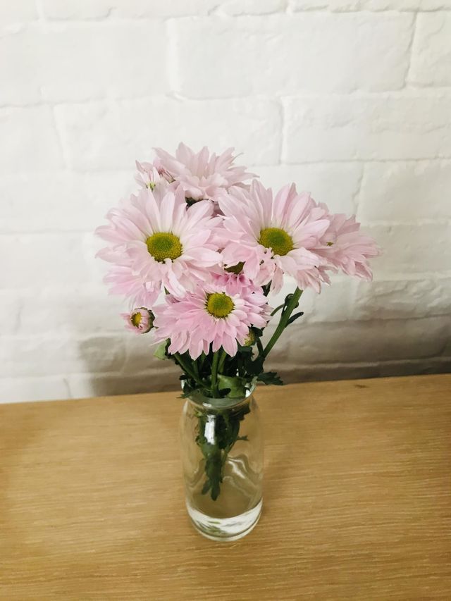 Flower in vase 