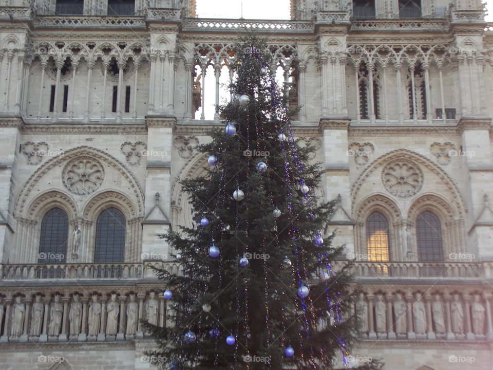 christmas on Notre Dame