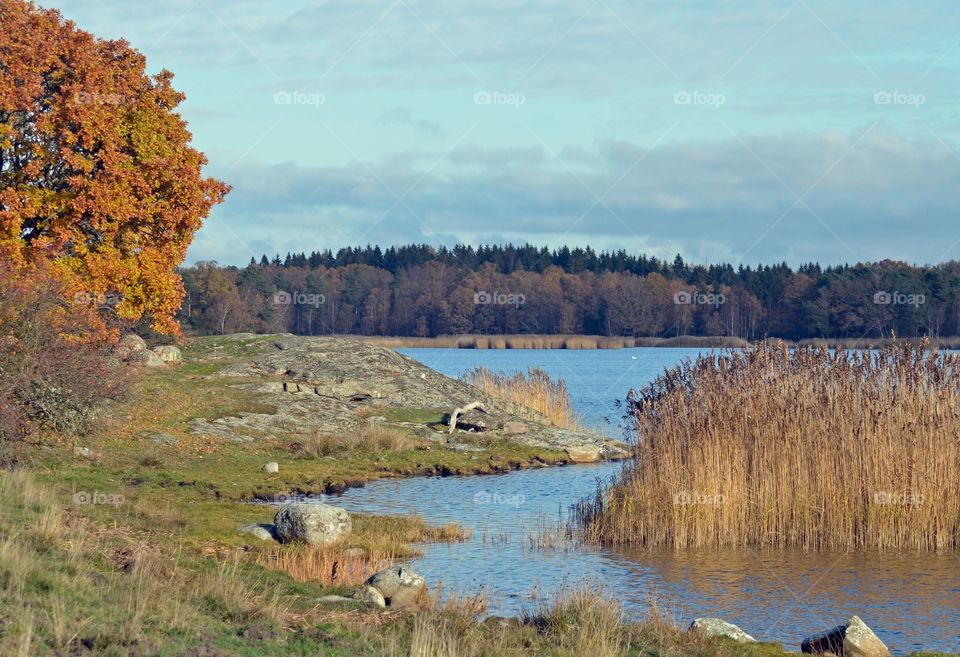 Kvalmsö in fall