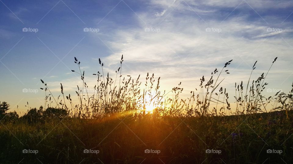 dramatic shot of the sunset