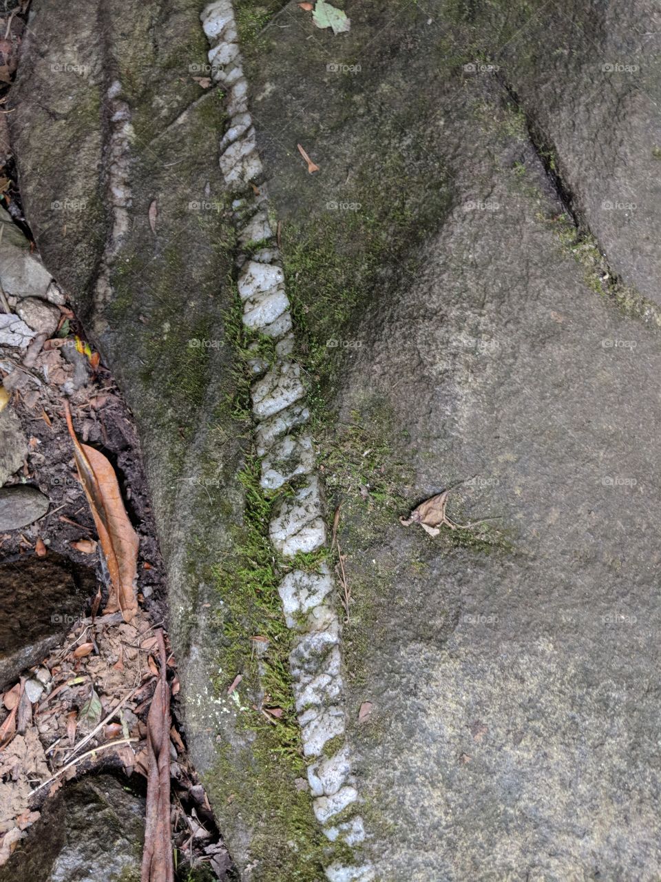 quartz runs through a granite rock along the Blue Ridge Parkway, North Carolina hiking nature trail.