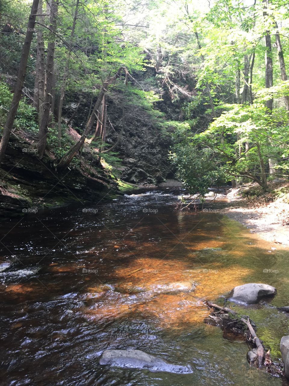Water, Wood, Stream, River, Nature