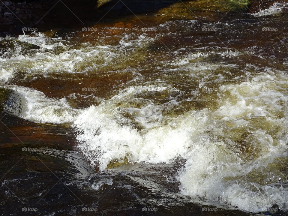 Kurpark in Bad Wildbad