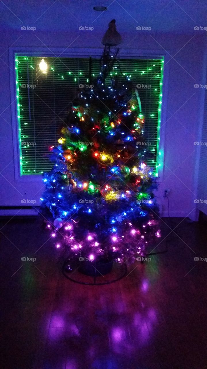 my tree