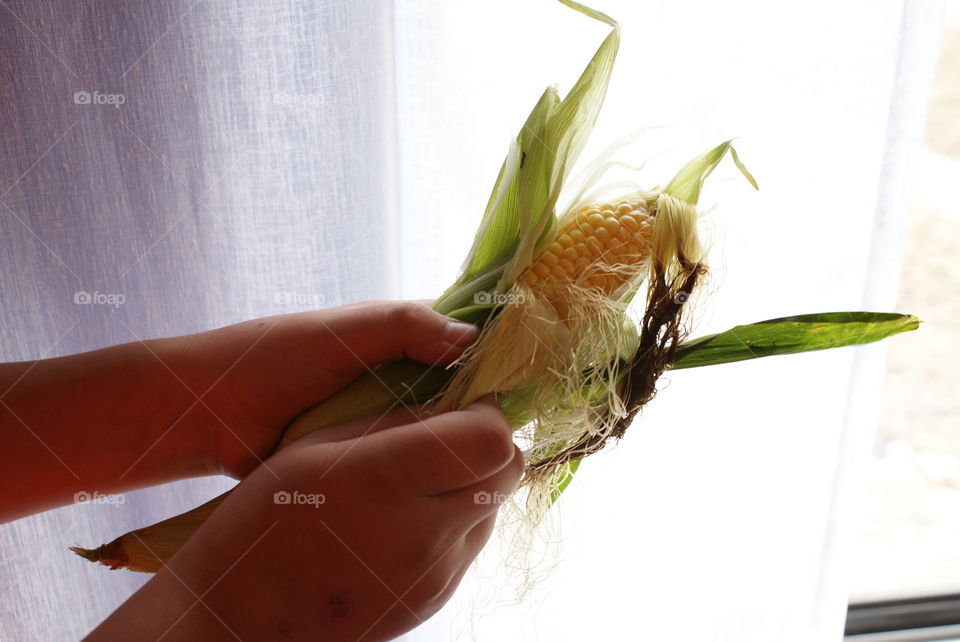 Corn