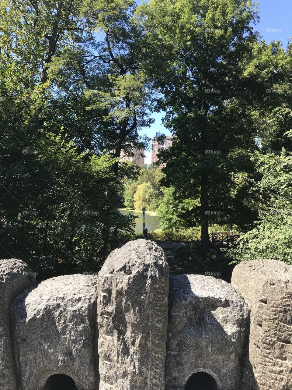 Sunny day in Central Park