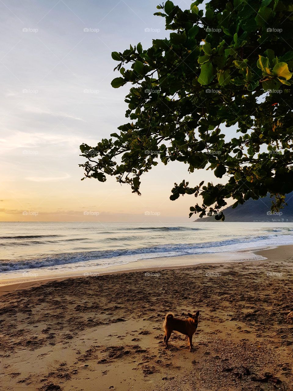 Scenic view of beach against morning sky