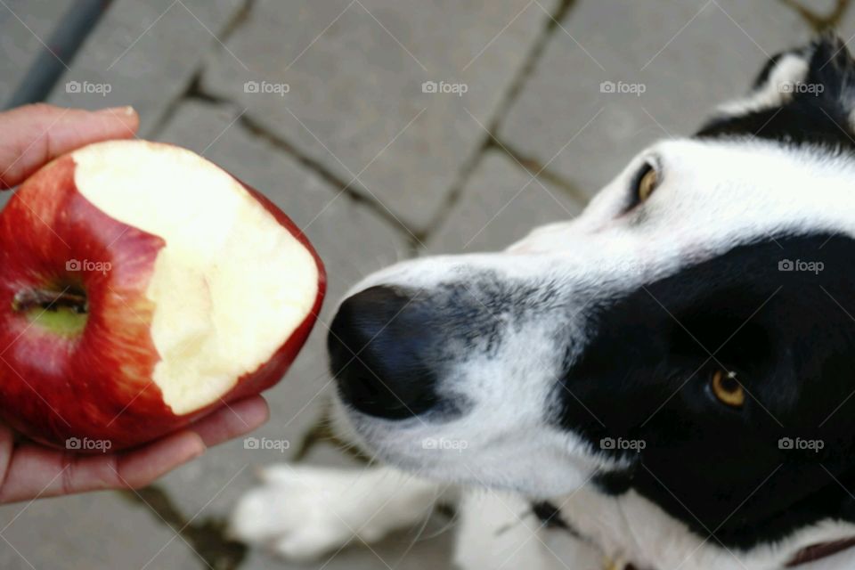 One apple a day, keep your doctor away