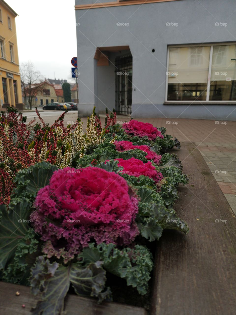 Streets of Zielona Góra. Poland