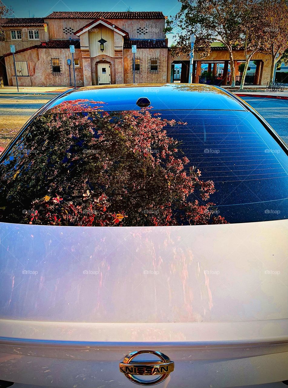 Black and White Nissan Top