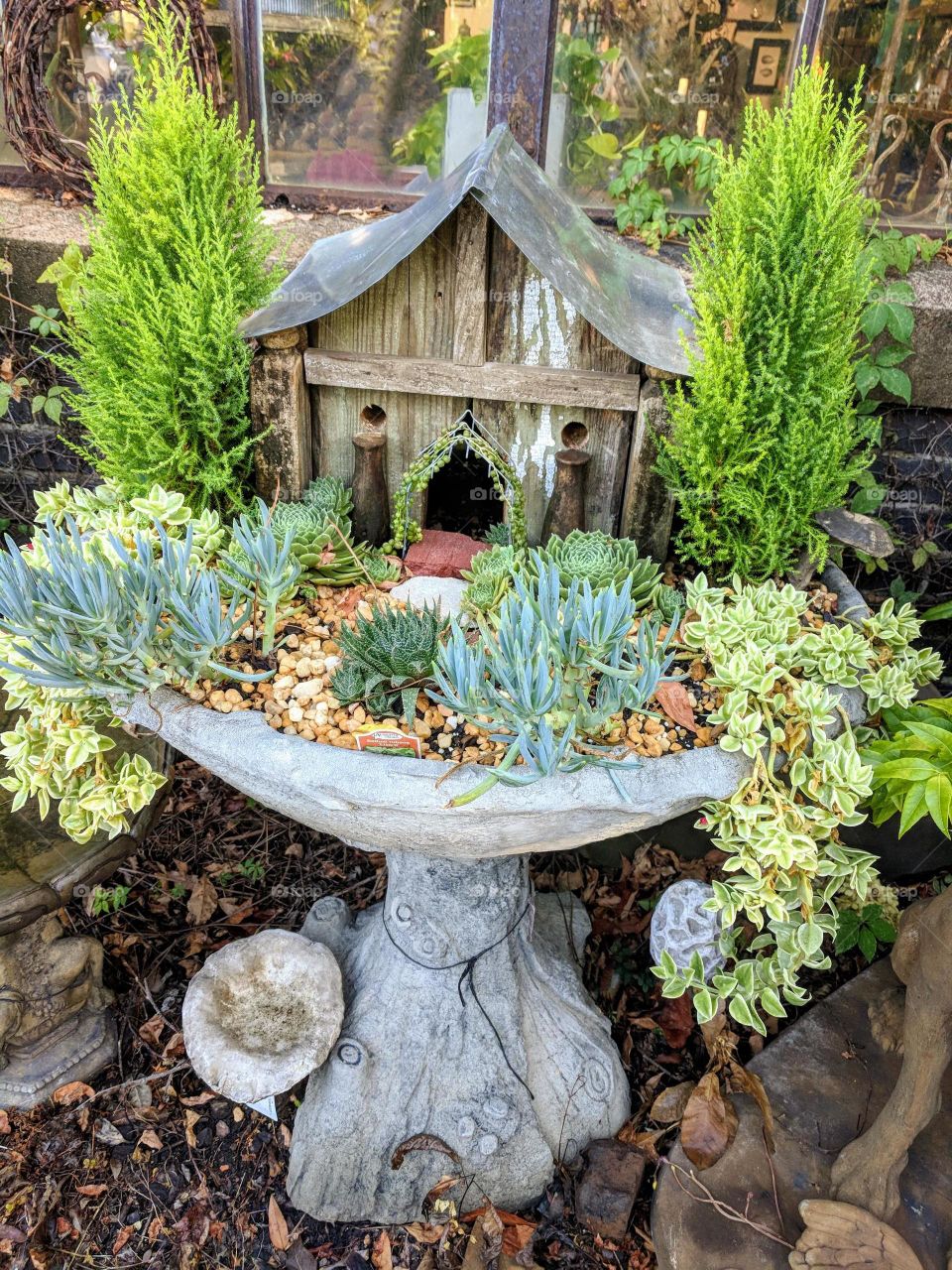 fairy garden