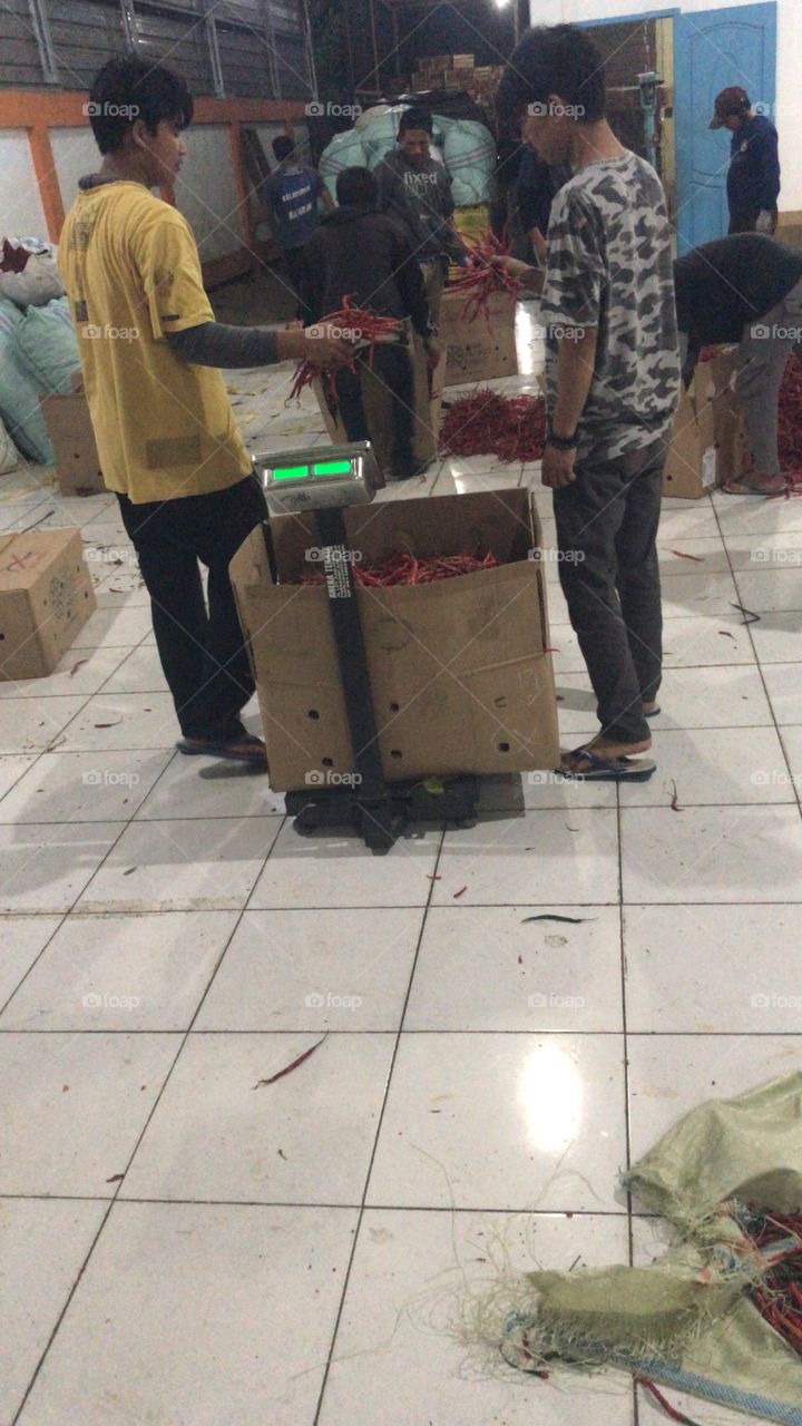 The process of weighing curly red chili 