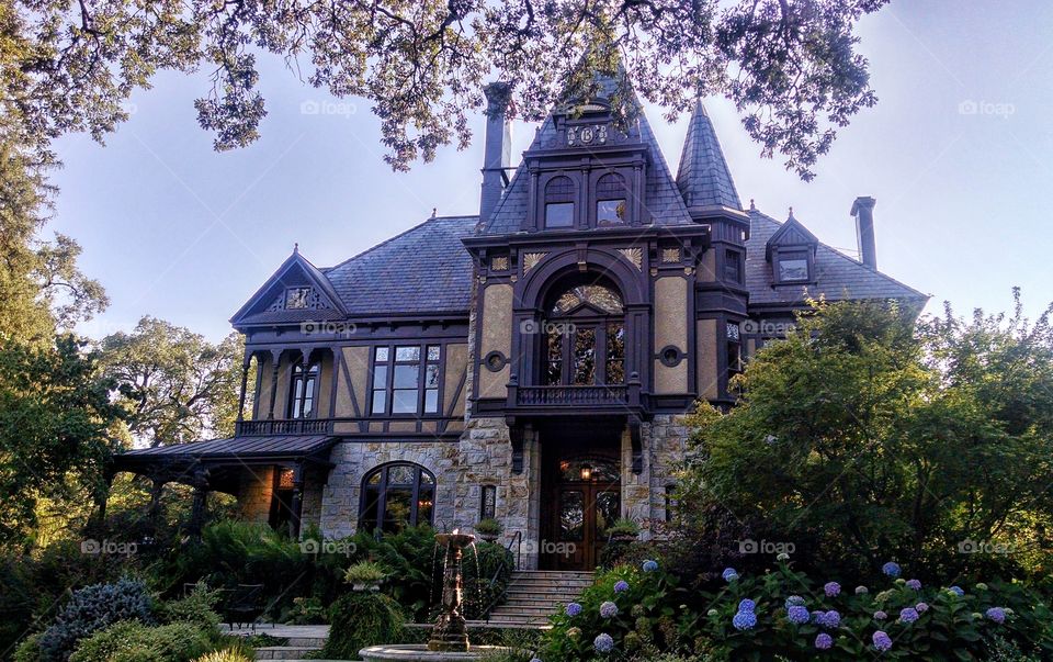 Napa Valley Wineries