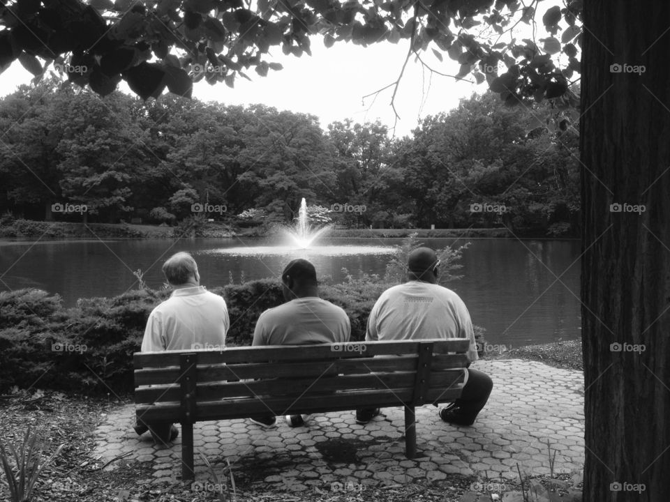 Fountain Watch