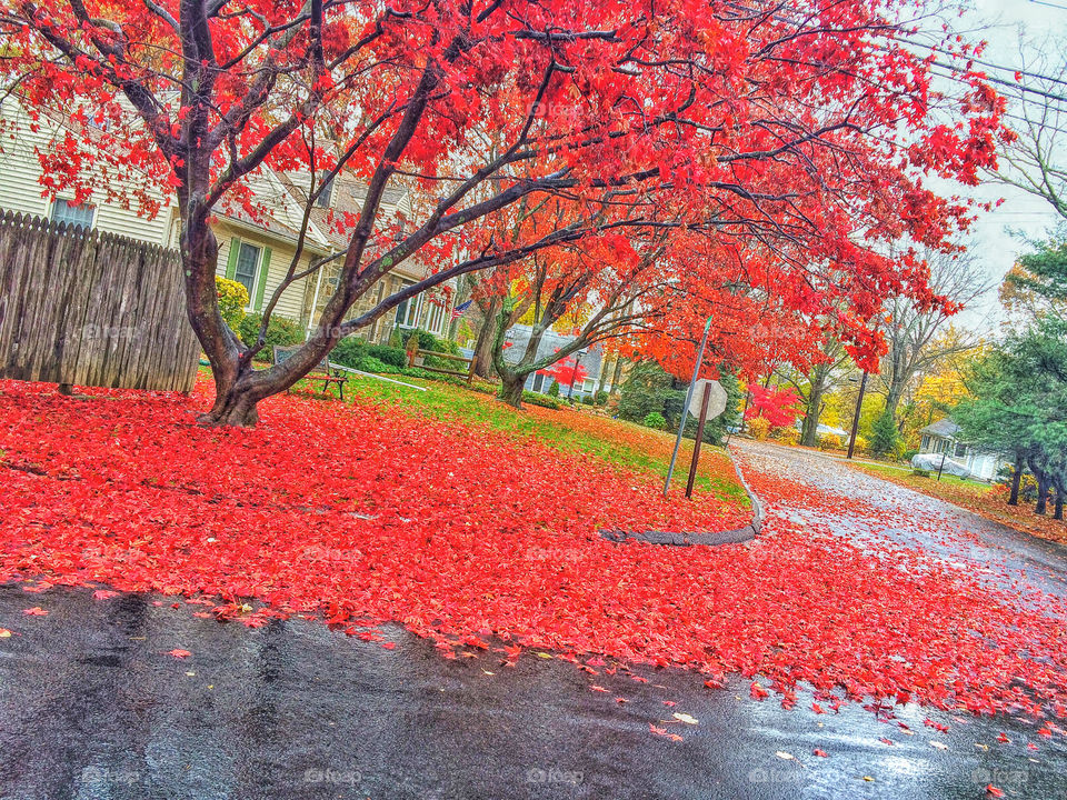 Caught in the rain 