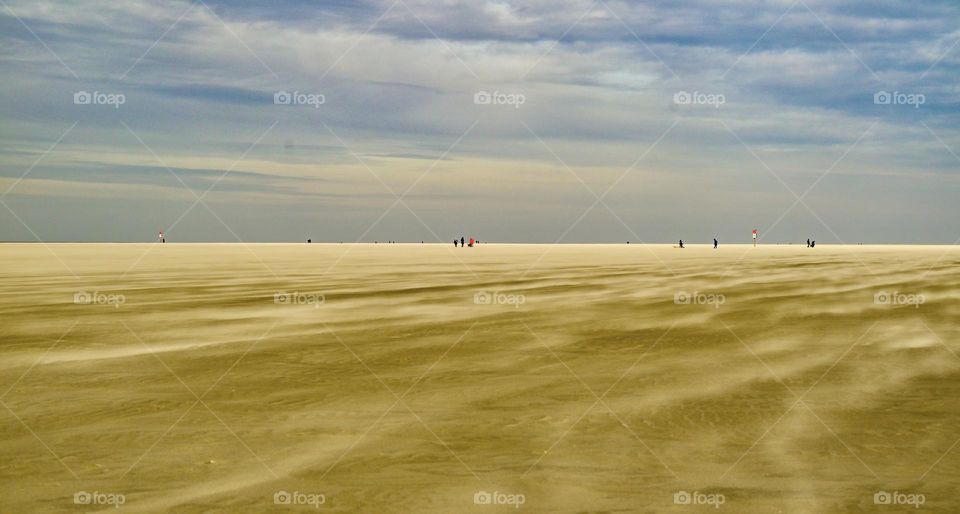 Windy beach walk 