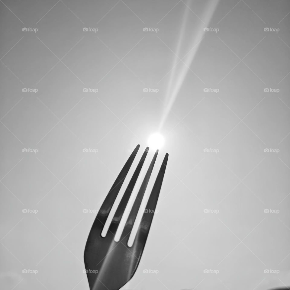 fork