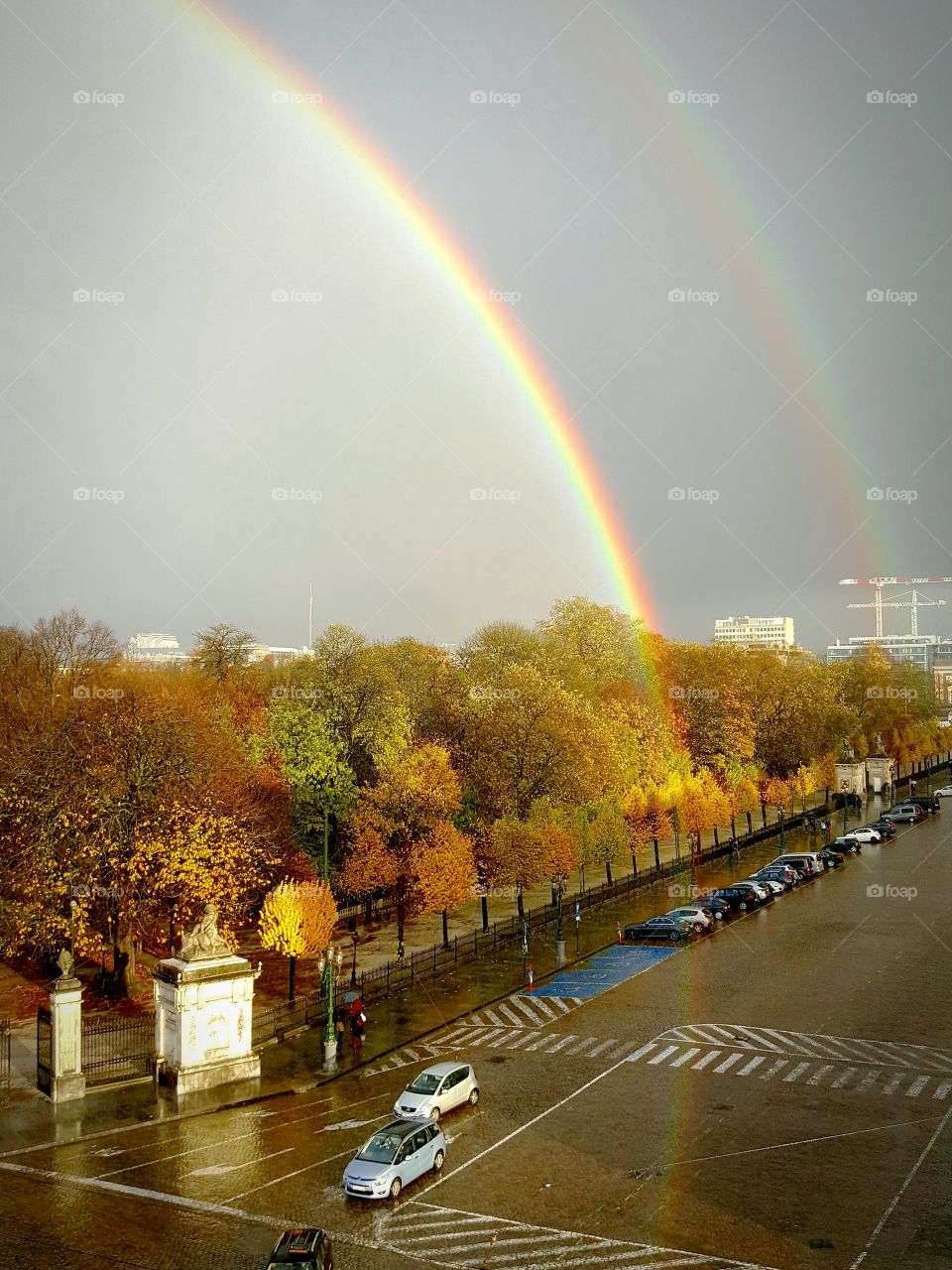 Rainbow in the city