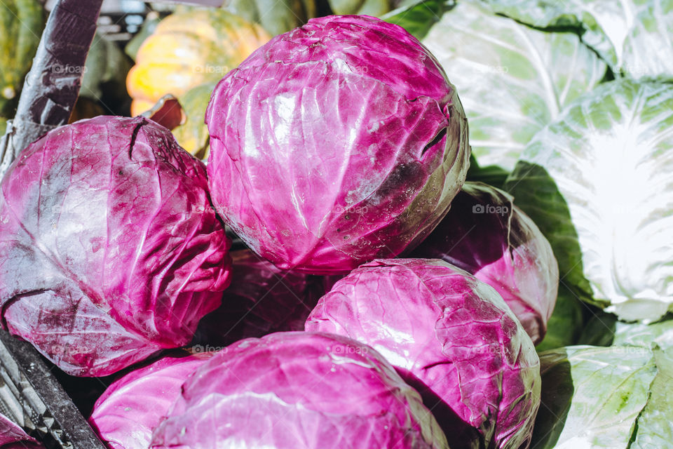 Crazy purple cabbage