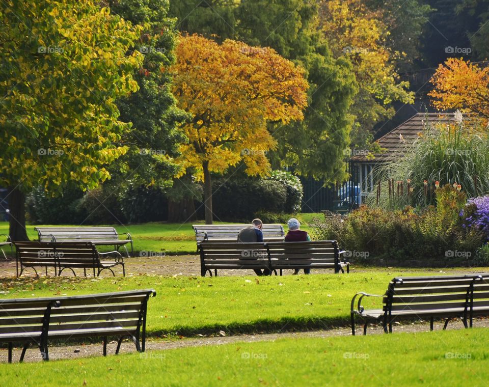 Park. Outdoors 