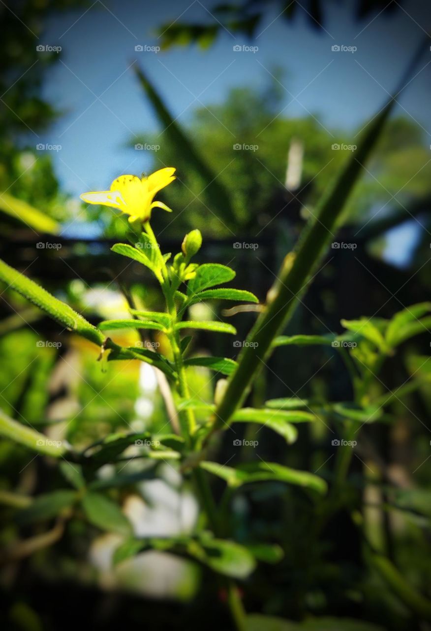 Editors' Choice: Photo of the Week