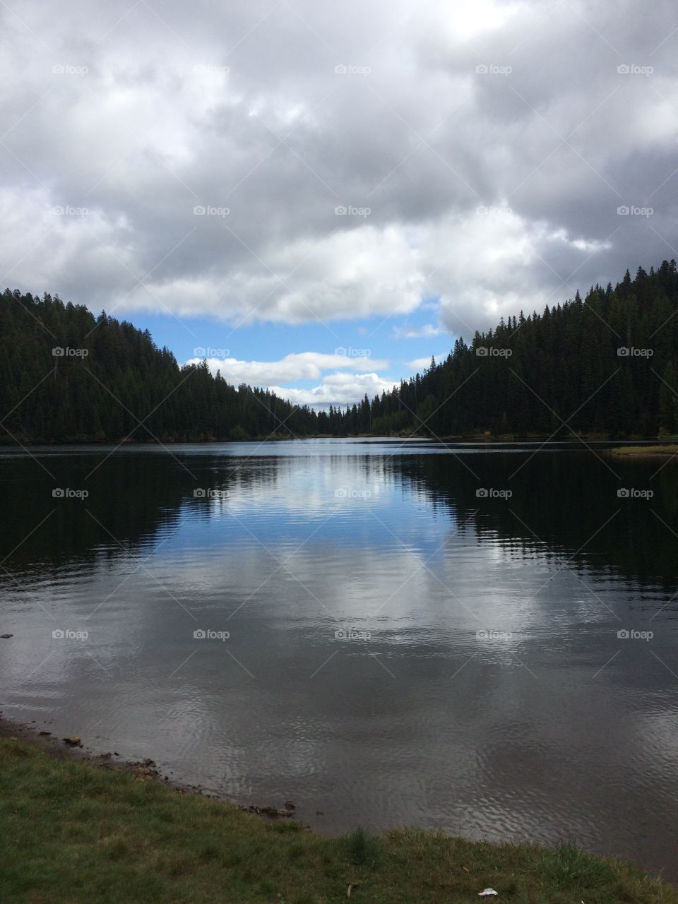 Lake reflections 