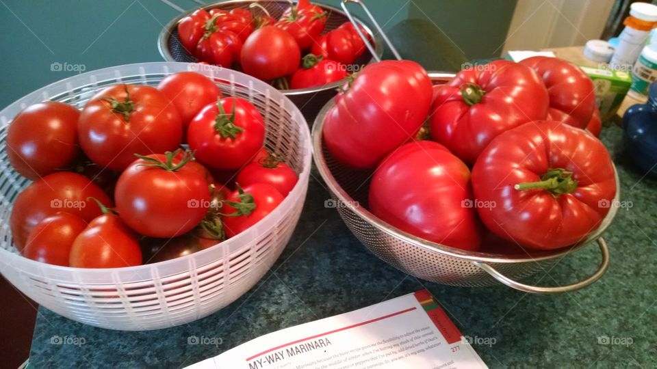 tomatoes. Heirloom tomatoes from my garden Portland, Oregon.