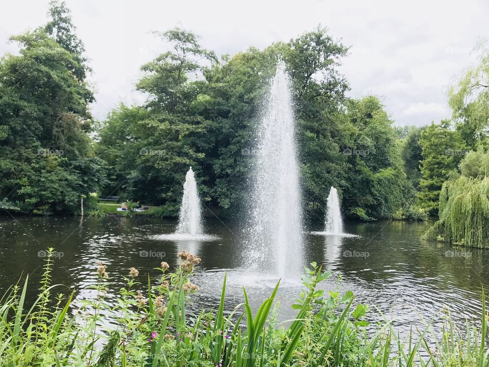 A beautiful photo from at the park of Amsterdam.