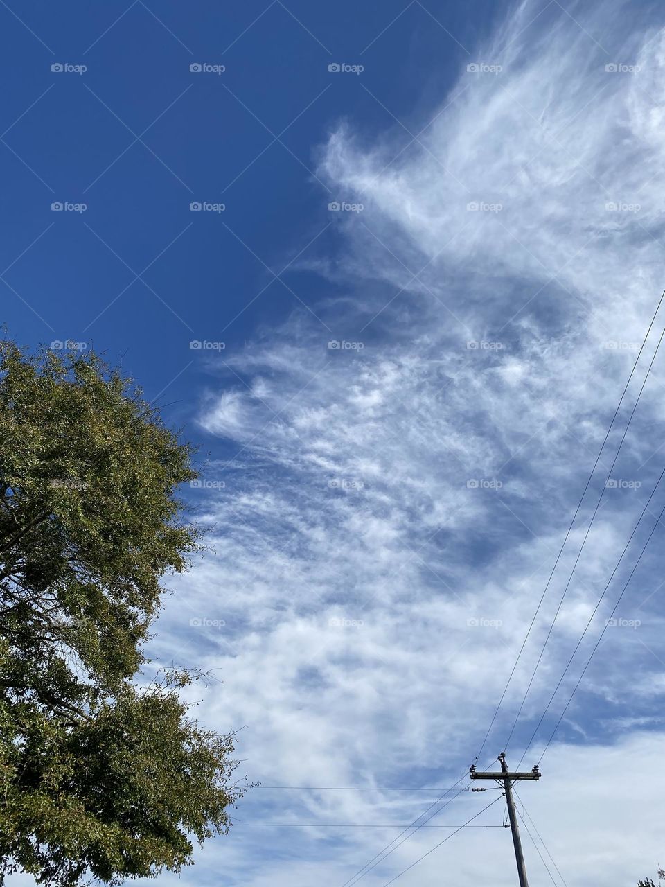 Beautiful sky with white clouds 