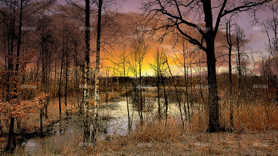 Scenic view of lake during sunset