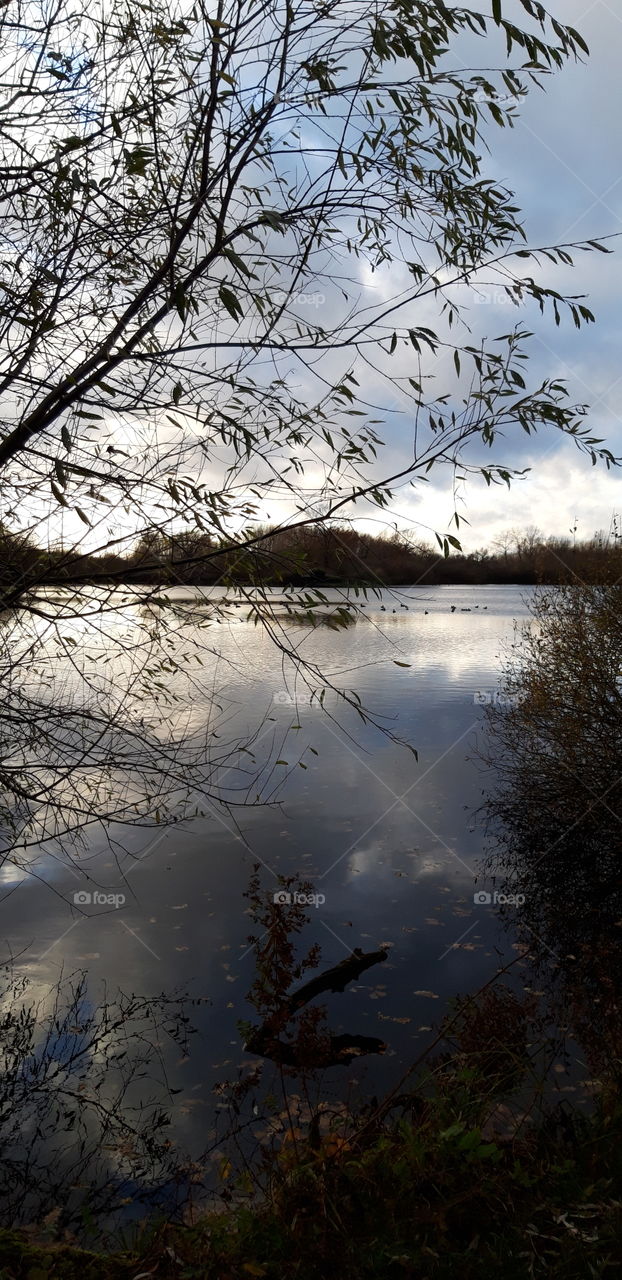 étang oisy le verger