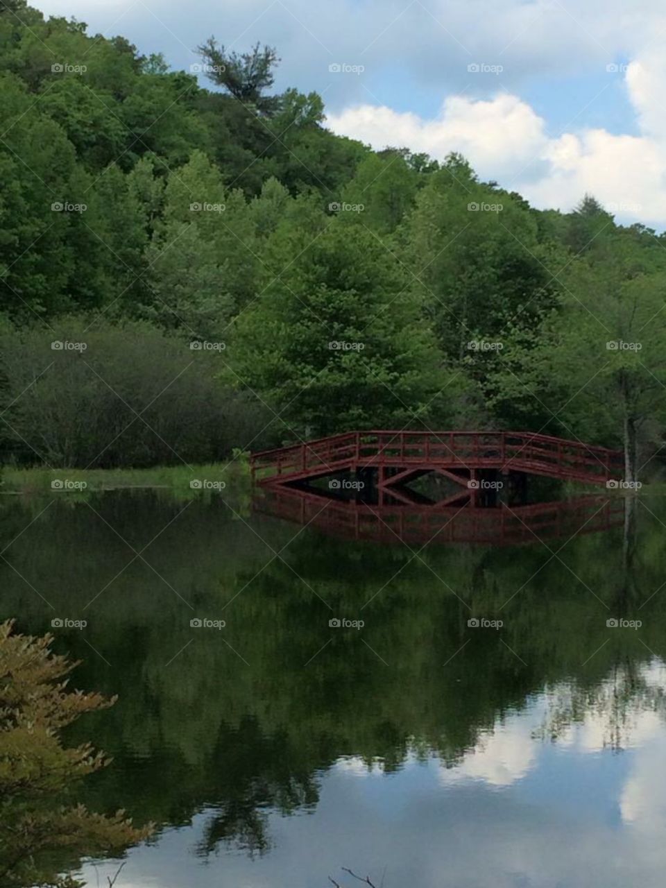 Mirror Bridge 