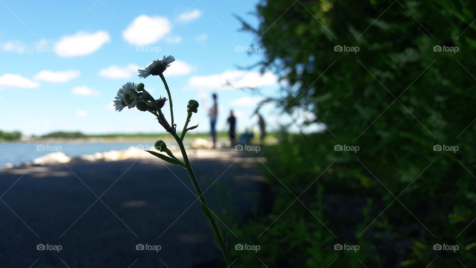 At the Lake