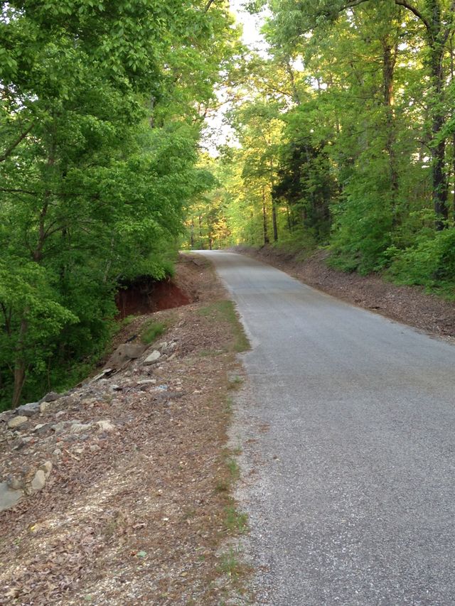 Country Roadside