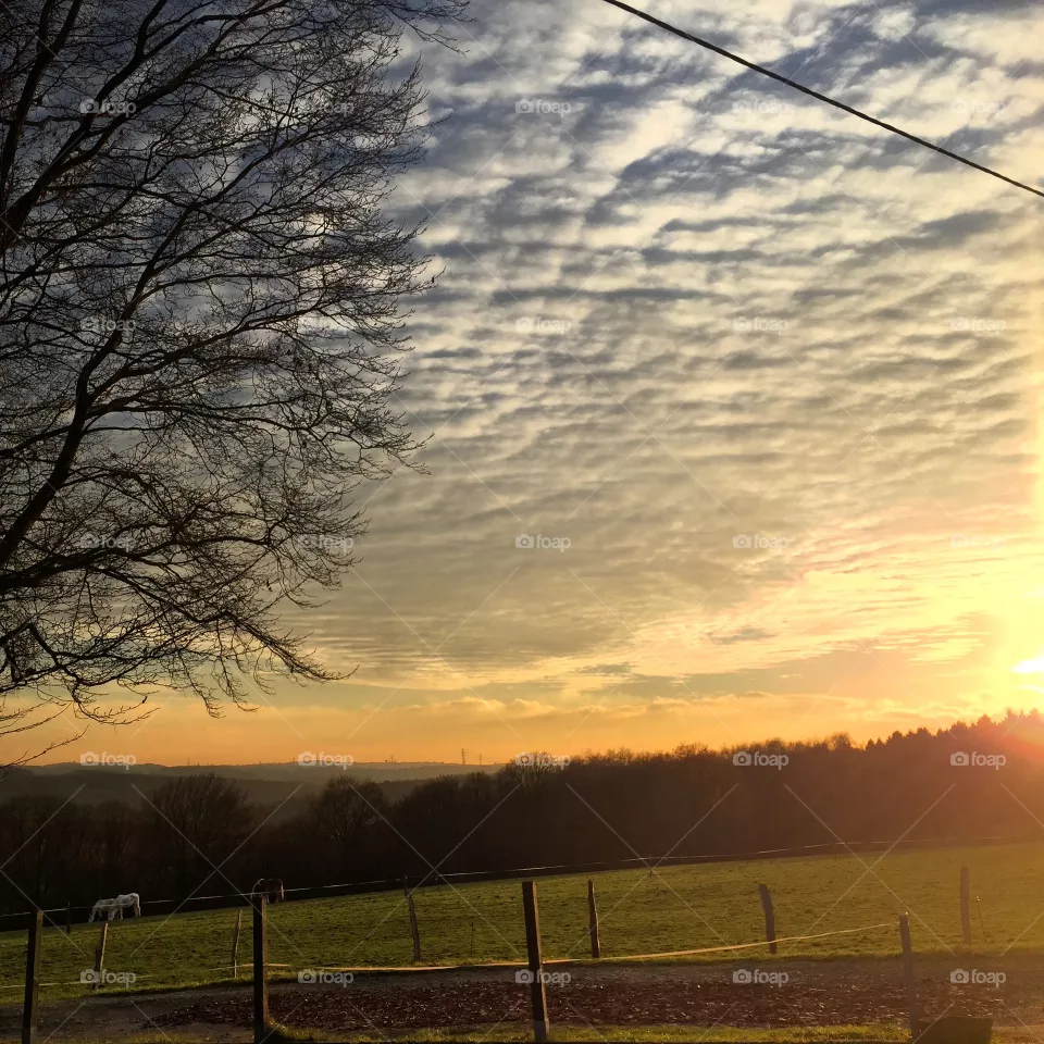 Sunset