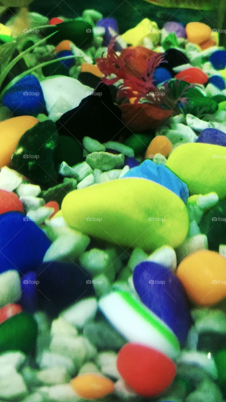 This is a beautiful , HD quality