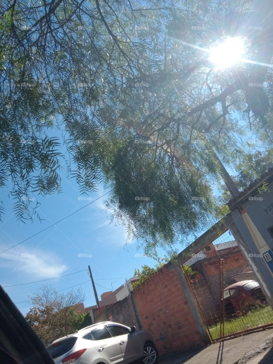 O Sol e seus encantos!
