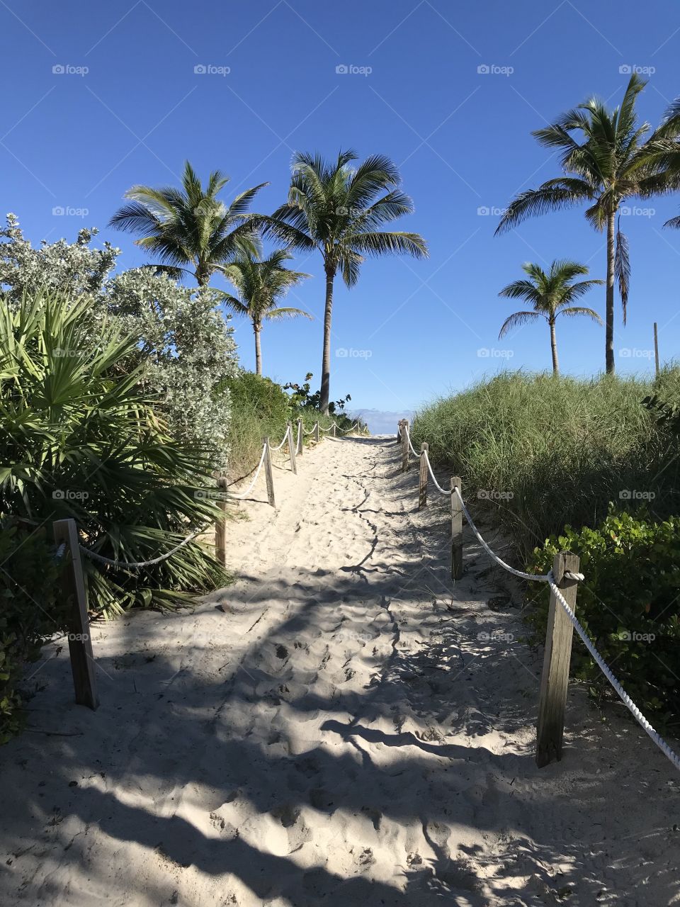 Beach paths 
