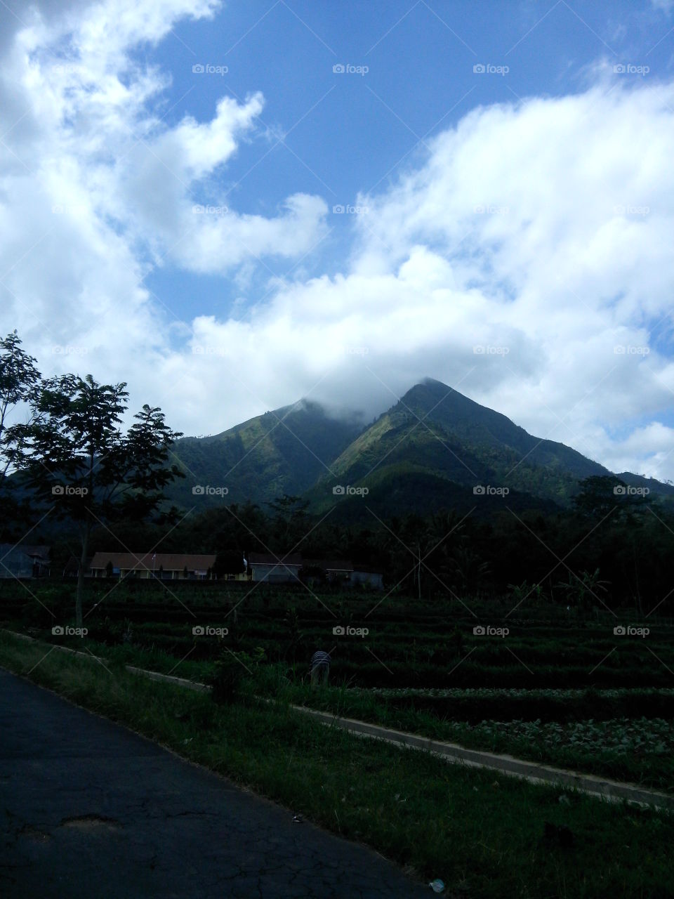 Gunung Merbabu is in the morning