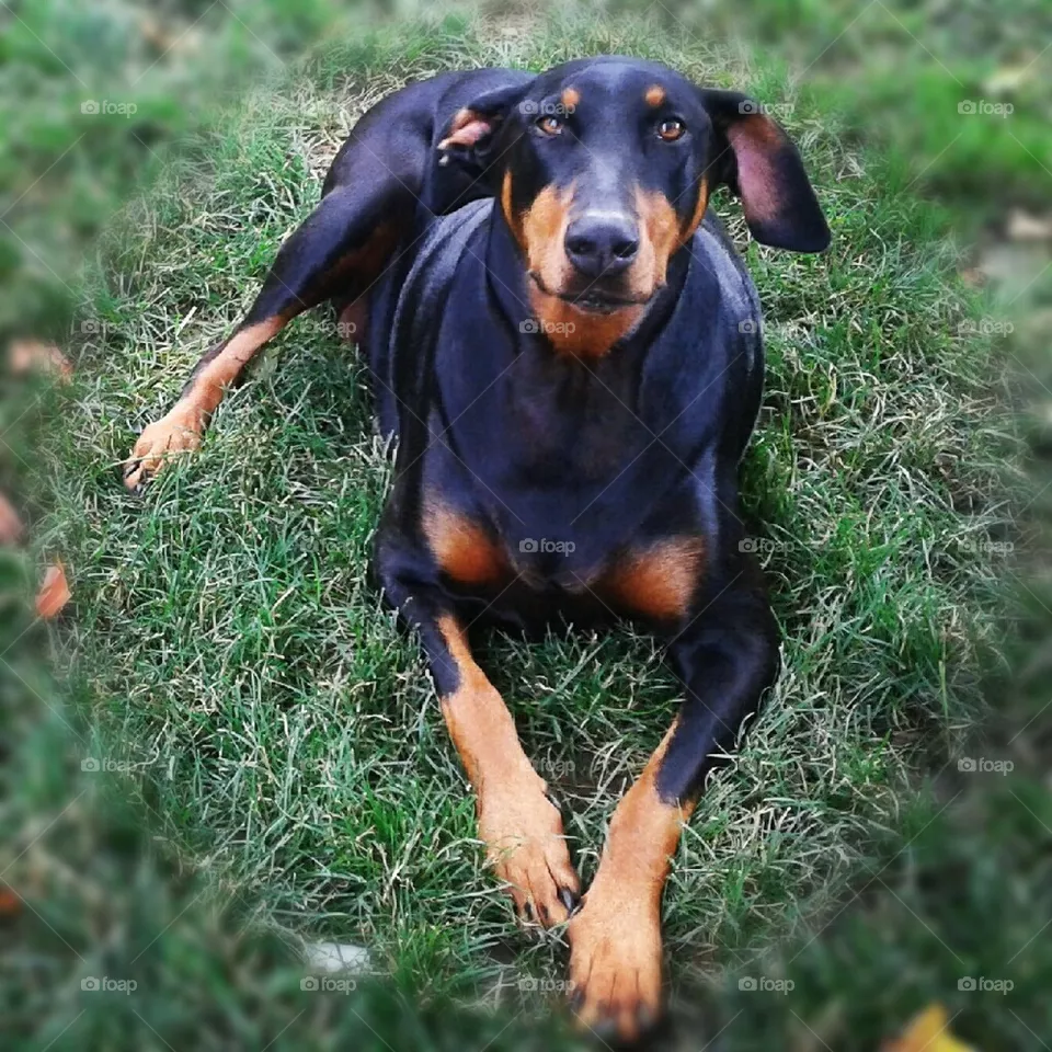 Lucy