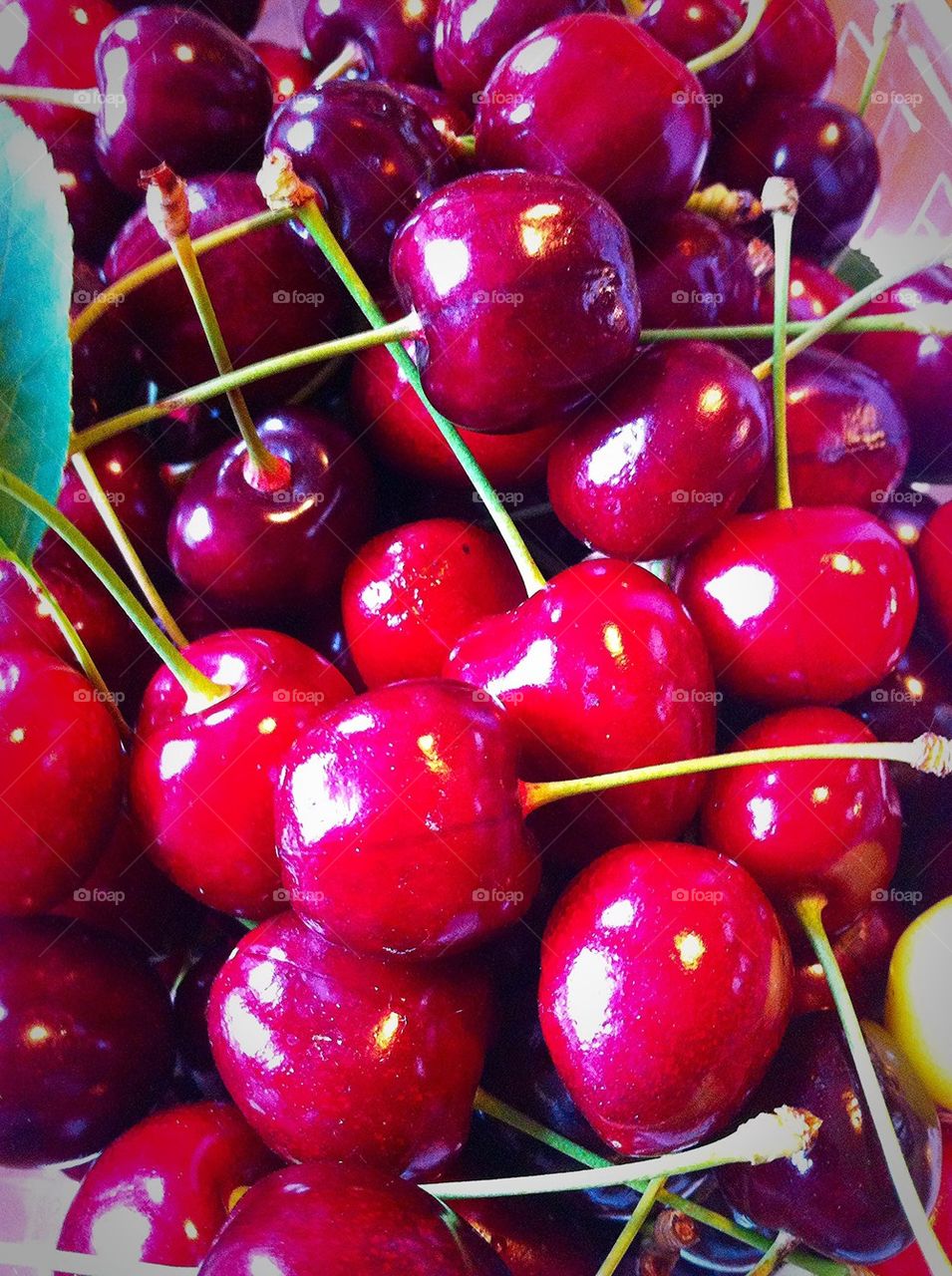 Freshly picked cherries 