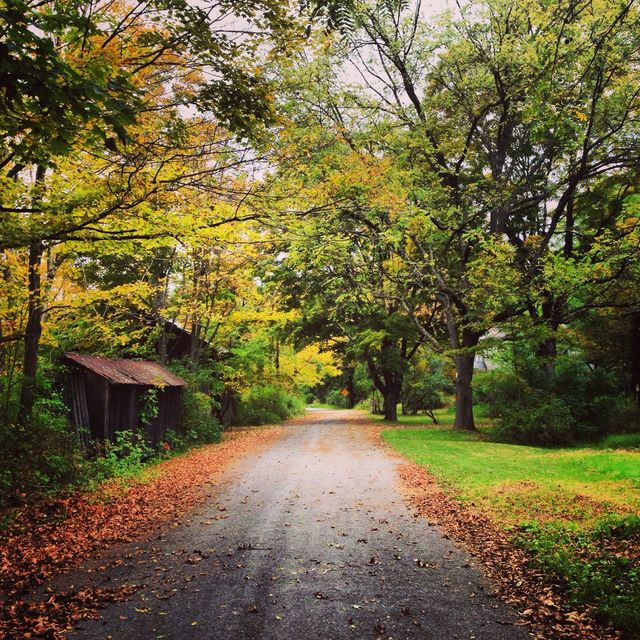 Fall day