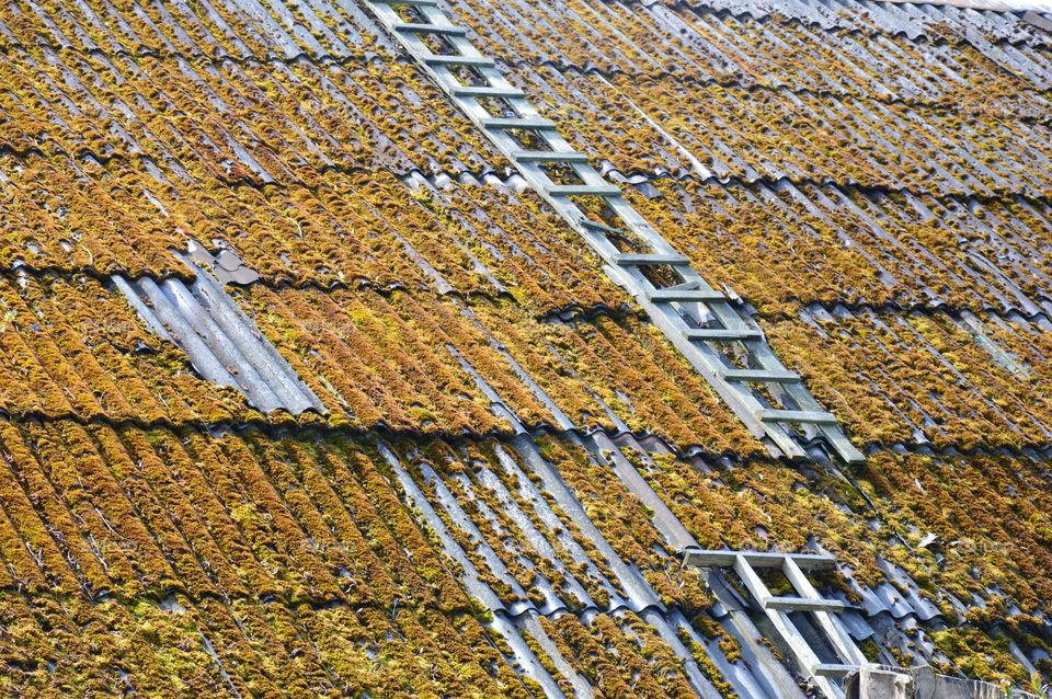 roof of building