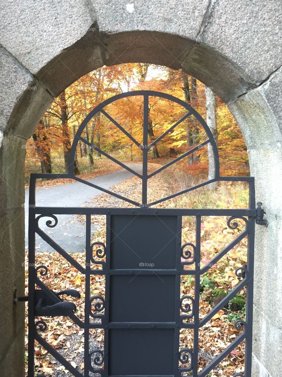 Looking through the gate