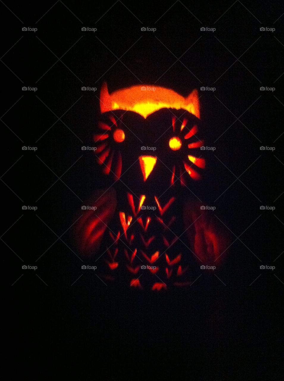 creative owl jack-o'-lantern