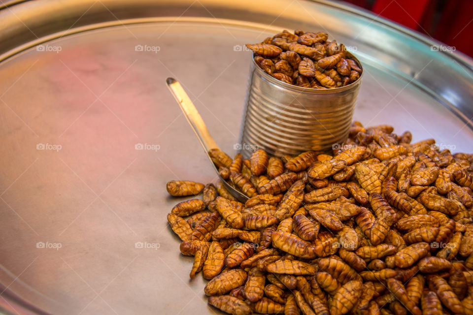 Insect snacks